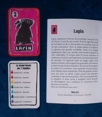 Le Grand Oracle des 7 Familles - Le Coffret – Image 2
